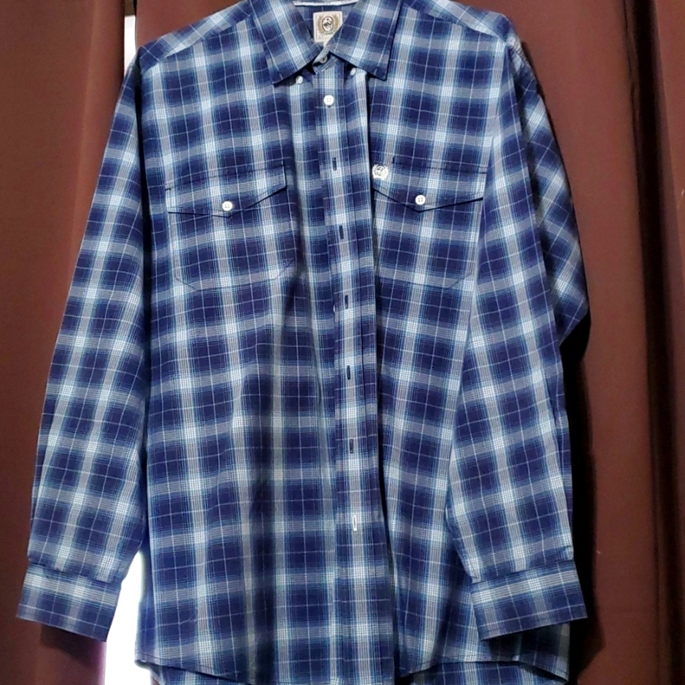 Cinch button down